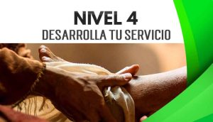 NIVEL 4 – Desarrolla tu Servicio
